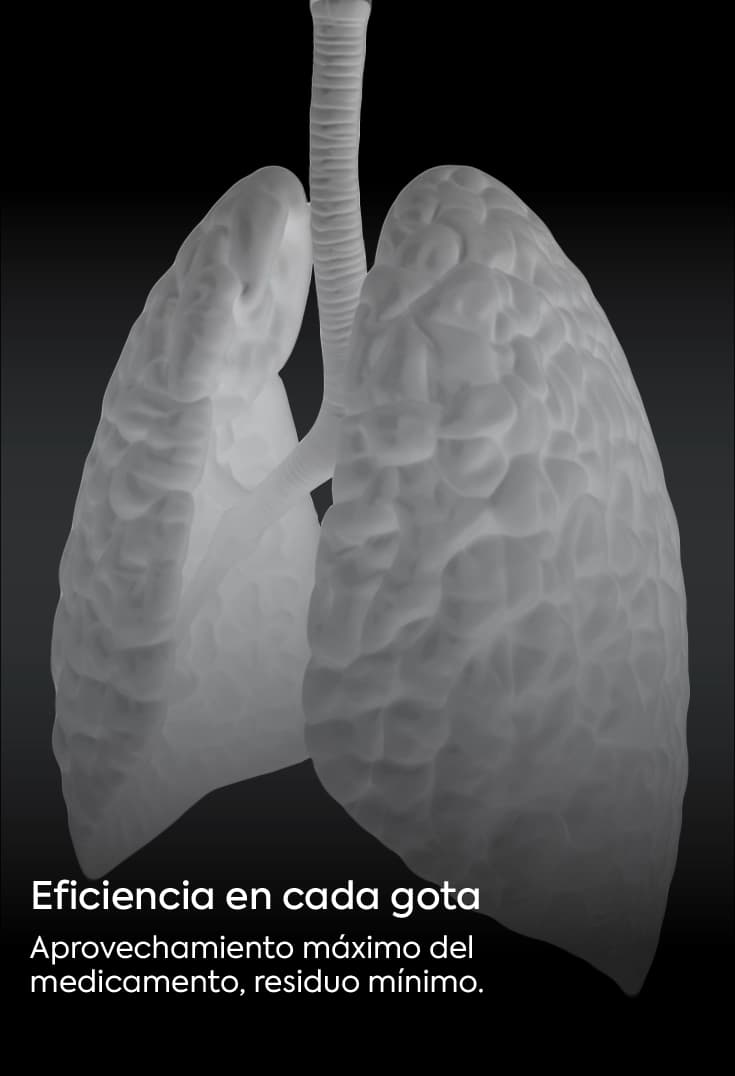 Tarjeta Atributos Nebulizadores 2